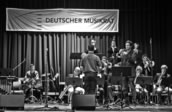 Das Yellow Tone Orchestra des Musikgymnasiums Montabaur. Foto: Klaus Mümpfer
